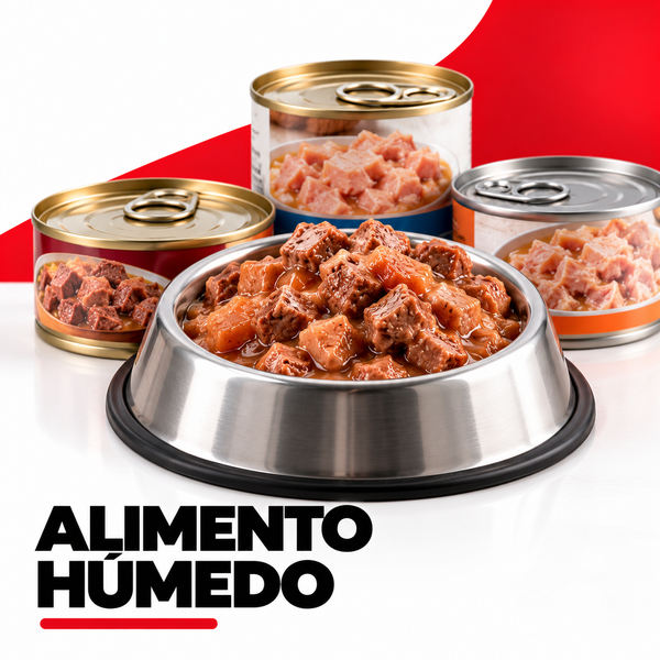 Alimento húmedo
