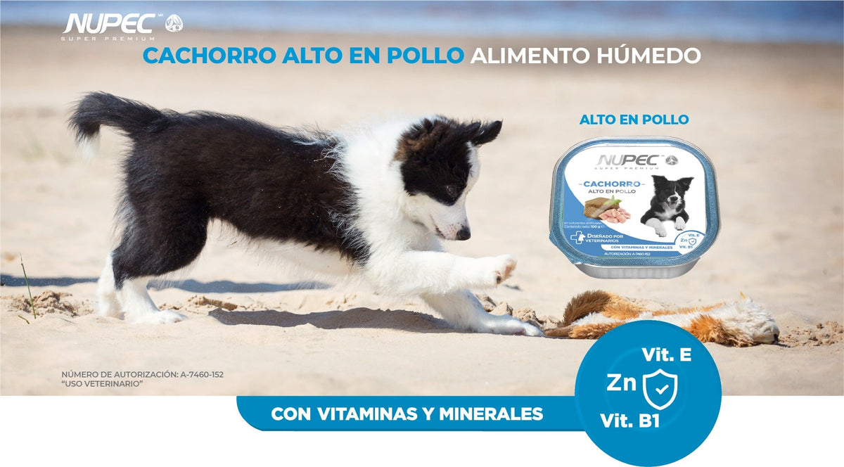Nupec Cachorro Húmedo