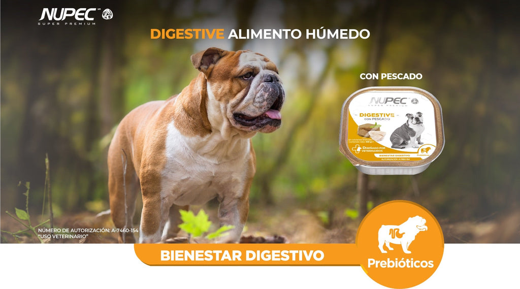 Nupec Digestive Húmedo