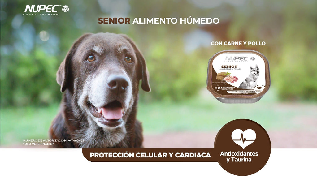 Nupec Senior Húmedo