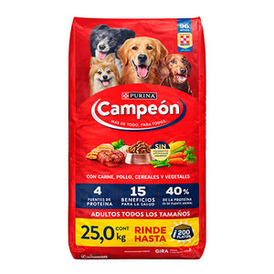Campeón