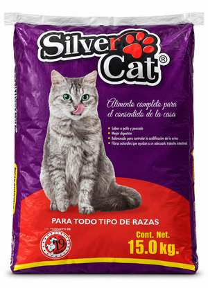 Silver Cat