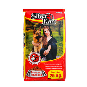 Silverkan